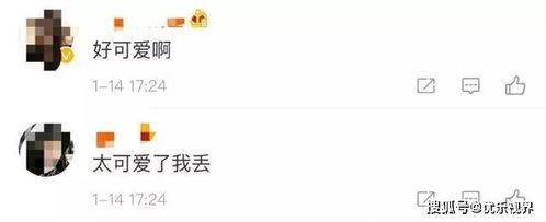 谁微信有吃瓜的视频,朋友圈热传的神秘吃瓜视频，究竟隐藏了哪些秘密？