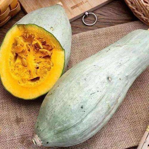 葫芦瓜可以烤了吃么视频,美味烤瓜食谱大公开