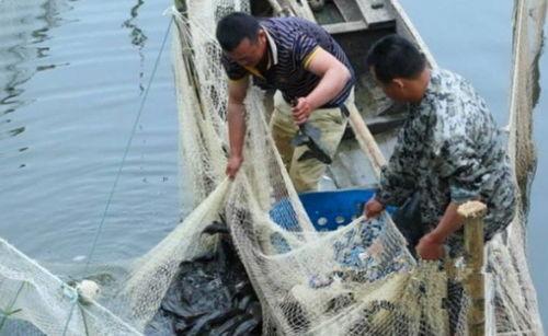 军演吃瓜渔民视频大全,渔民视角下的精彩瞬间大盘点