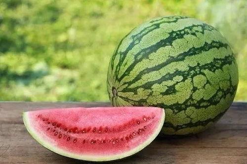 瓜园吃西瓜视频,一场与西瓜的甜蜜邂逅