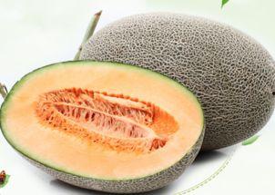 吃哈密瓜能充饥吗视频,夏日解渴又充饥的神奇水果