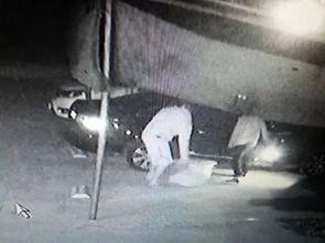 广东惠州吃瓜事件视频,一场网络热议背后的真相揭秘