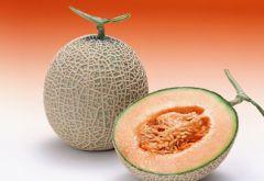 小孩开心吃哈密瓜好吗视频,小孩开心吃瓜欢乐多