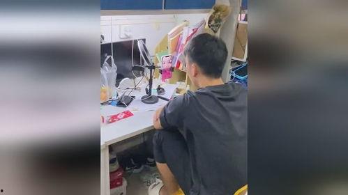 吃瓜男生宿舍吵架视频,吃瓜男生视频揭露宿舍吵架瞬间