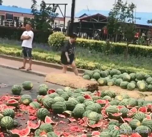 蒙阴南官庄吃瓜事件视频,一场引发热议的乡村奇观