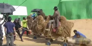 吃瓜场景怎么拍视频的,捕捉夏日吃瓜瞬间，轻松制作趣味短视频