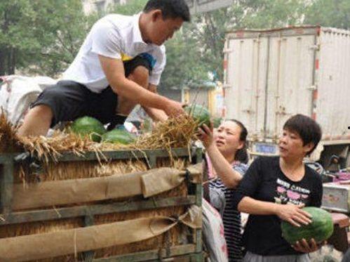 文安县吃瓜事件视频,一场引发热议的网络风波