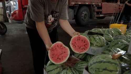 泰盛吃瓜现场视频大全最新,视频大全揭秘娱乐圈幕后风云